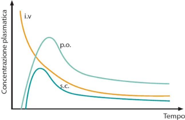 Figura 1:curve di biodisponibilità 