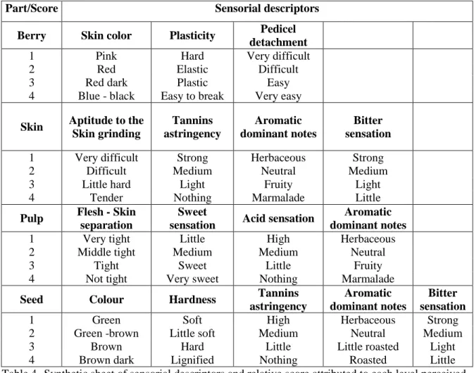 Table 4. Synthetic sheet of sensorial descriptors and relative score attributed to each level perceived  during tasting of the berry parts