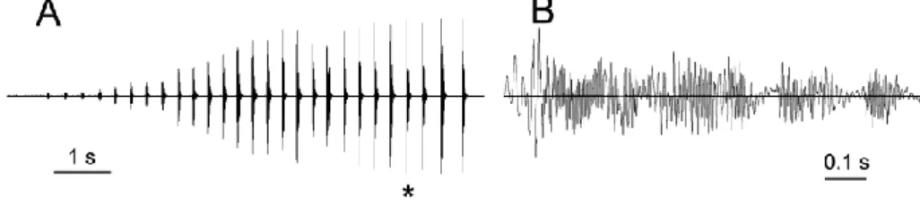 Figure  2.  Oscillogram  of  A.  Male  calling  signal  (MCS)  with  female  pulse  indicated with an asterisk, and B