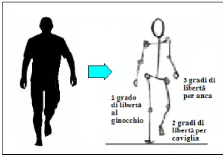 Figura 1.12: Schema a 7 segmenti con cui si rappresentano entrambi gli arti inferiori