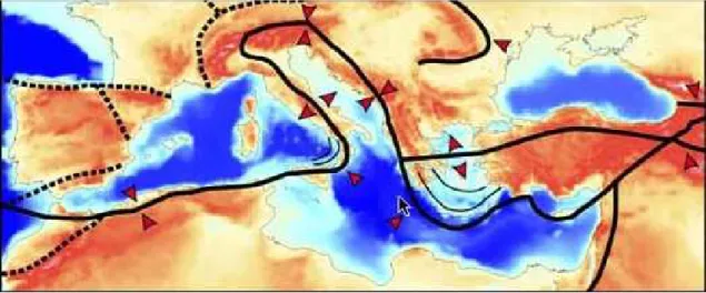 Figura 1.1.1 _ Placche tettoniche nel bacino del mediterraneo. Fonte INGV . 