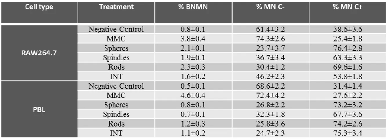 Table  III.  FISH  analysis.  Percentage  of  centromere  negative  (MN  C-)  and  centromere  positive  (MN  C+)  micronuclei in binucleated Raw 264.7 and PBL cells (BNMN) incubated with 1 µg\ml of CuO NPs as evaluated  with the CBMN Cyt assay in combinat