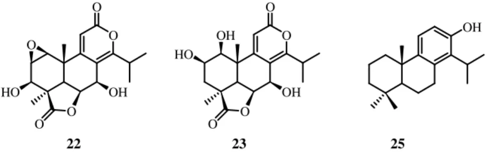 Figure 2.5: Structure of known diterpenes isolated from P. elongatus: compounds 22  and 23 were isolated also from P