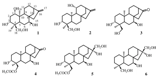 Figure 4.2: Structures of new diterpenes isolated from S. pullulans 