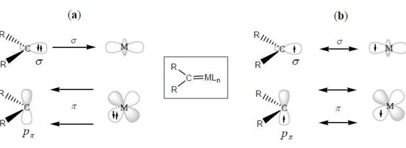 Figura 1.6. Rappresentazione schematica di (a) legame di tipo Fischer σ-donatore e π-accettore e (b)  legame covalente di tipo Schrock in complessi carbenici.