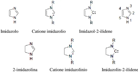 Figura 1.7. Rappresentazione generale e nomenclatura delle strutture degli imidazoli e carbeni  derivati