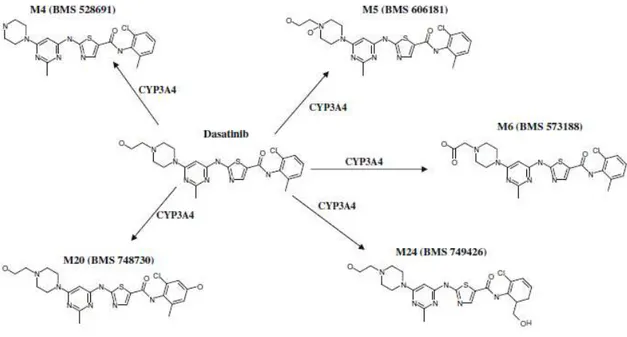 Figura  5.  Gli  inibitori  delle  tirosin  chinasi,  i  loro  metaboliti  attivi  (quelli  inattivi  non  sono  mostrati)  e  gli  enzimi coinvolti