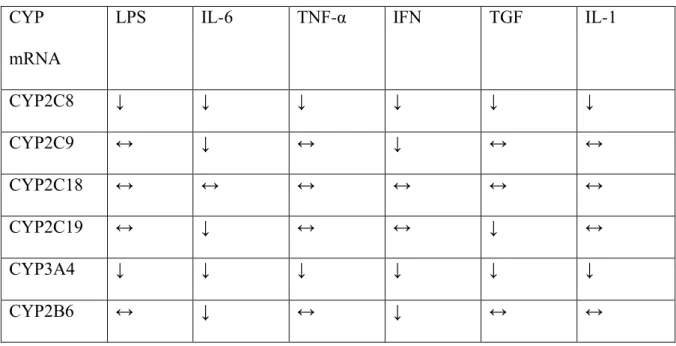 Tabella 8. Sommario degli effetti di citochine proinfiammatorie sull’espressione genica del CYP450   (Aitken and Morgan, 2007)