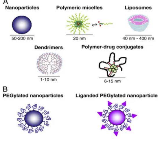 Figura 2  Nanovettori utilizzati per il drug delivery. A. Tipi di nanovettori descritti in studi  preclinici e clinici