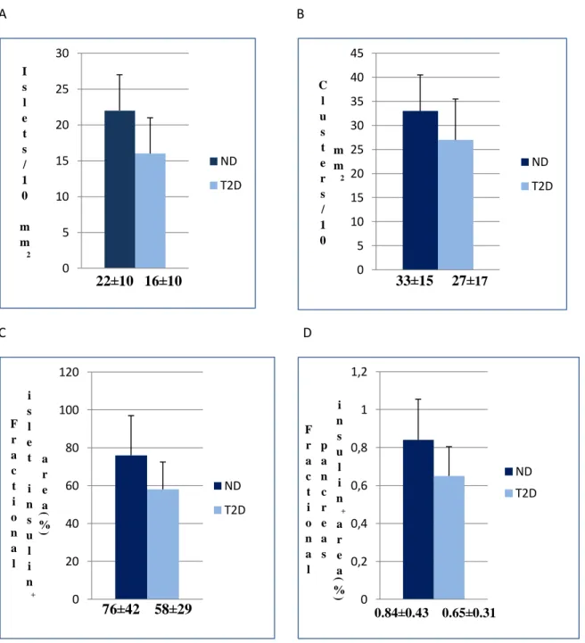 Figura 12 - A- Numero di isole nei diabetici di tipo 2 e nei non diabetici. B- Numero di clusters  nei diabetici di tipo 2 e nei non diabetici.C- Area insulino positiva(per isola) nei diabetici di tipo 