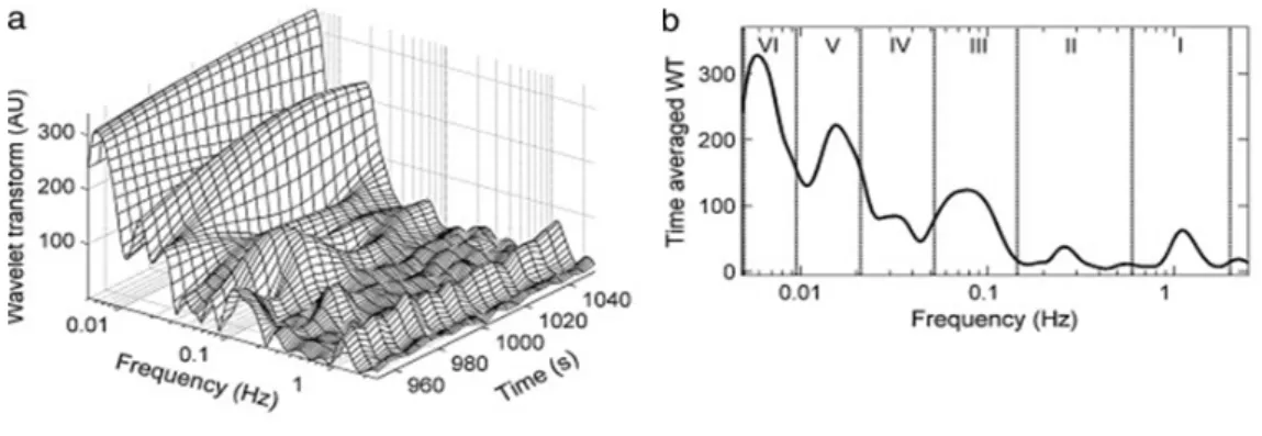 Figura 1.4 Analisi spettrale delle componenti in frequenza della flowmotion.
