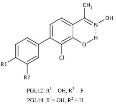 Figure 1. Salicylketoxime GLUT1-inhibitors PGL12 and PGL14         