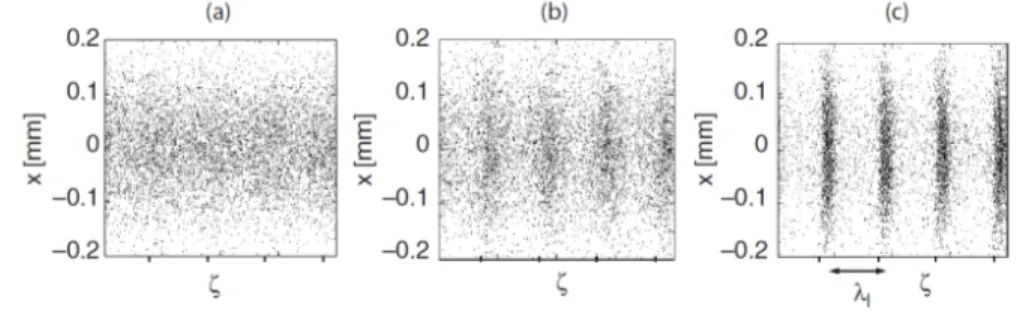 Figure 1.6. Micro-bunches formation in the three regimes simulated with a numerical code [8].