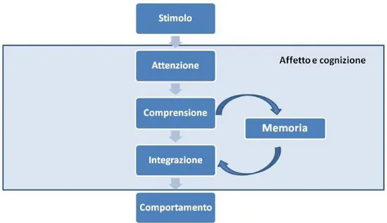 Figura 1.1 L’approccio cognitivo. (Fonte: Dalli, Romani, 2011) 