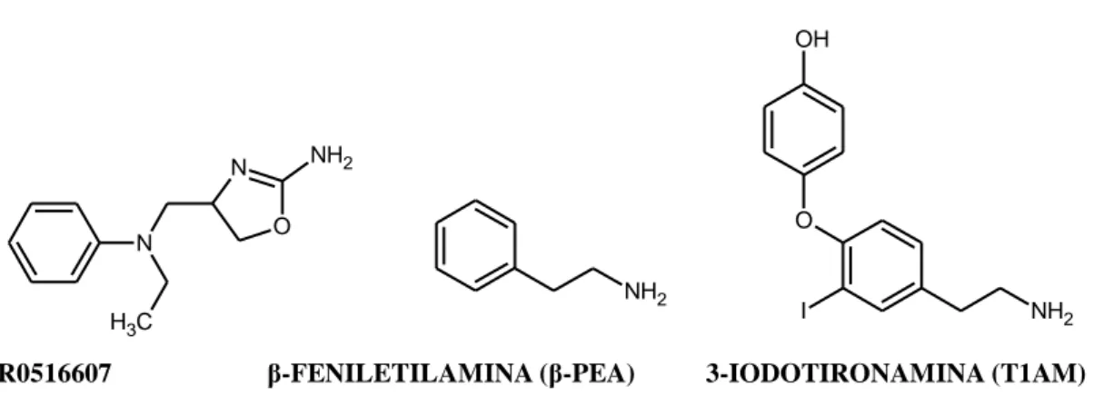 Figura 5: Struttura dei composti RO516607, β-PEA, T1AM 