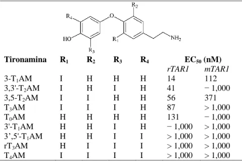 Tabella 3.  Accumulo dose-dipendente di  cAMP indotto da tironamine per  cellule HEK-293  [2]