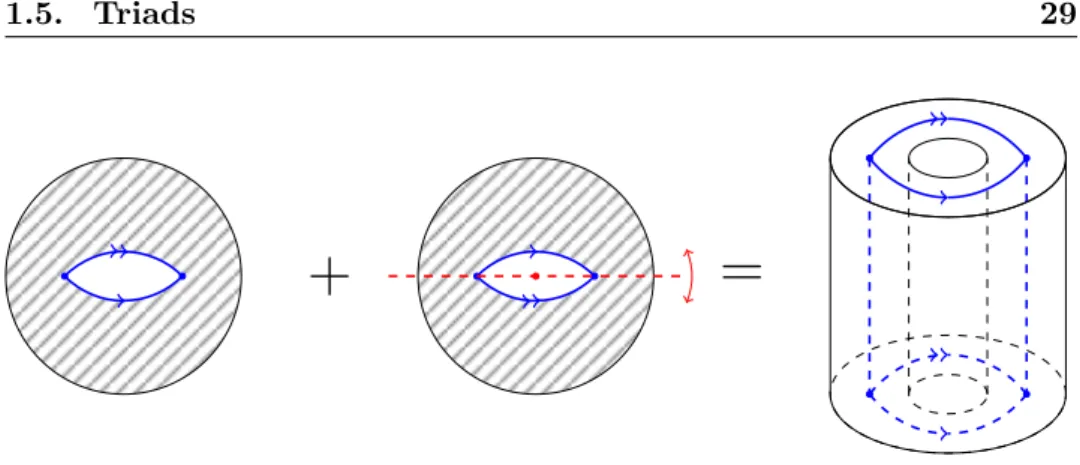 Figure 1.3: The branched double cover of the ball B branched along two arcs can be obtained by gluing two copies of B \ S