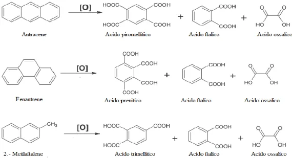Figura 4. Possibili scaffold generici adatti alla sintesi dei policarbossilbenzeni 