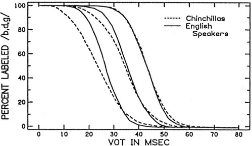 Fig. 1.1. Identificazione del VOT da parte di soggetti umani e di chinchillas  (Kuhl &amp; Miller 1981) 