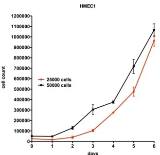 Figure 15. HMEC-1 growth curves, starting from  25.000 cells (red)  and 50.000 (black)