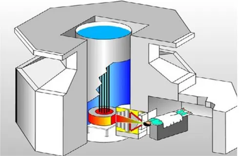 Figure 1.5: Diagram of requirements for BNCT treatment at FiR 1 nuclear research reactor  in Otaniemi, Finland (Auterinen, 2001)