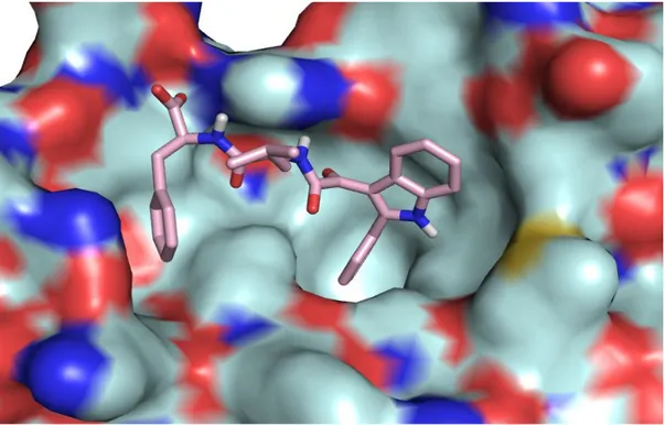 Figure 22. Molecular Modeling of the compound I 