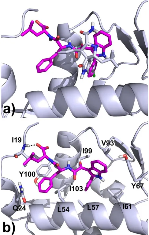 Figure  24.  a)  Superimposition  of  binding  mode  found  for  compound  1  with  the  Mi-63  analogue  co- co-crystallized in the MDM2 enzyme (PDB code: 3LBL)
