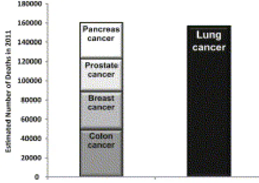 Figura 1. Stima del numero di decessi per tumore nel 2011. 