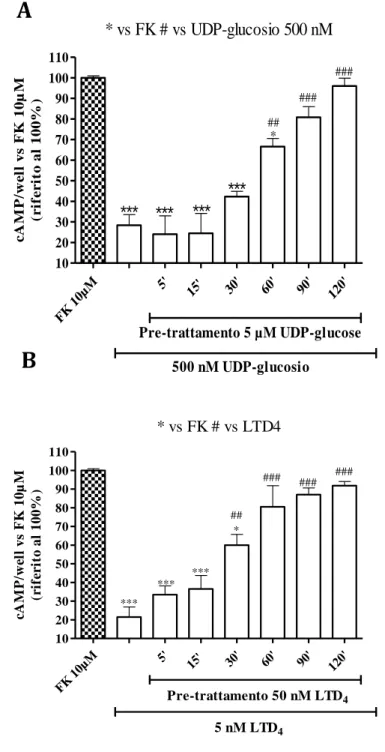 Figura  5A/5B.  Valutazione  della  desensitizzazione  del  GPR17  indotta  da  UDP-glucosio  (A)  o  LTD 4   (B) allo  stadio  3  del  differenziamento  cellulare;  i  dati  risultano  espressi  in  percentuale  rispetto  ai  livelli  di  cAMP  stimolati 