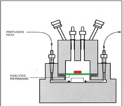 Fig. 5.1. NaviCyte horizontal diffusion chamber 