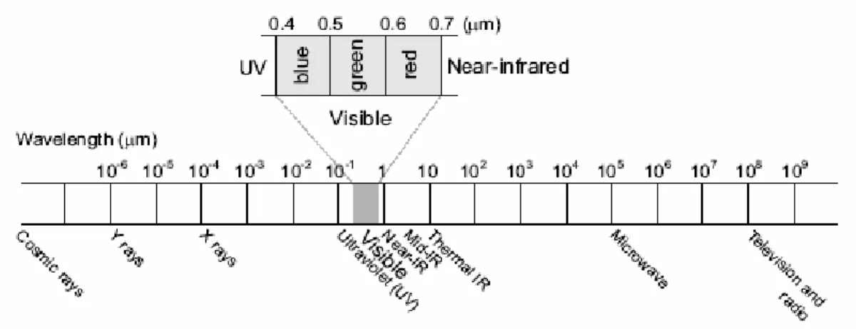 Fig. 19 Spettro elettromagnetico (in evidenza il visibile)
