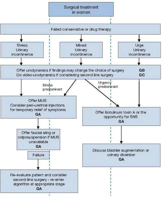 Figura 2: linee guida sull'incontinenza urinaria, European Association of Urology, 2013