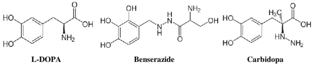 Figura 5. Strutture chimiche della levodopa e degli inibitori della dopa-decarbossilasi [11b]