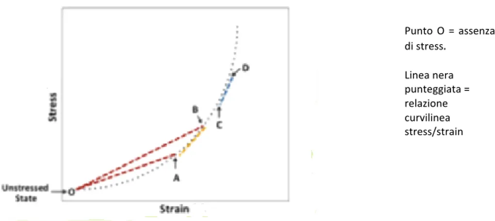 Figura  1.1  –  Relazione  stress/strain:  modulo  incrementale  elastico  per  i  materiali  che  non seguono la legge di Hooke