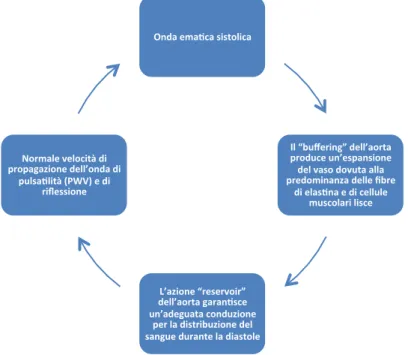 Figura 1.2 - Proprietà fisiologiche dell’aorta come sistema di reservoir e di conduzione: 