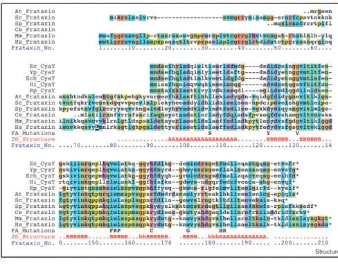 Figure	
  4.2	
  Alignment	
  of	
  frataxin	
  and	
  cyaY	
  sequences	
  displayed	
  with	
  Clustal	
  X	
  colours	
  to	
  emphasise	
   conserved	
  sequence	
  features.	
  The	
  white-­‐on-­‐black	
  L	
  indicates	
  the	
  N	
  terminus	
  of	