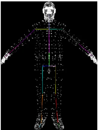 Figura 1.9: esempio di skeleton immerso in una mesh. Ogni bone ha un colore diverso. 