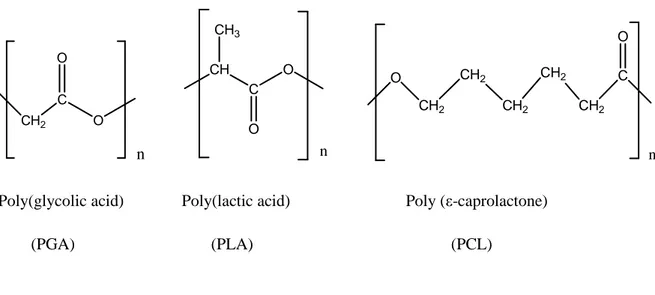 Figure 10. Chemical structure of PGA, PLA and PCL. 