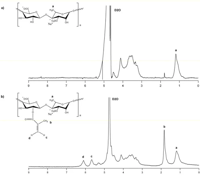 Figure 3. 1 H-NMR spectra of a) ulvan and b) UMA in deuterated water (D 2 O).