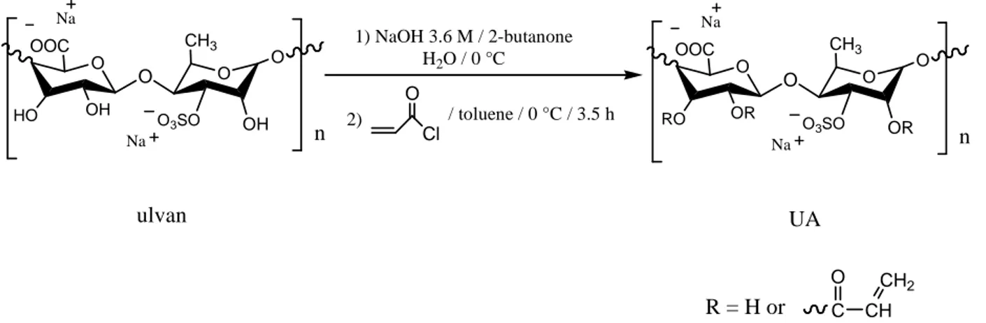 Figure 4. FT-IR spectra of Ulvan and UA. In the red box is evidenced the absorption peak at 1724 cm -1  relative to the  presence of an α,β-unsatured carbonyl group in the highlighted polymer