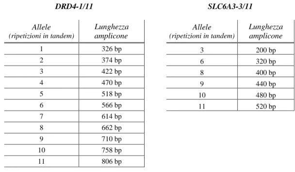 Figura  15.  Immagine  della  corsa  elettroforetica  di  6  dei  campioni  analizzati  per  le  varianti VNTR DRD4-1/11 (A.) e SLC6A3-3/11 (B.)