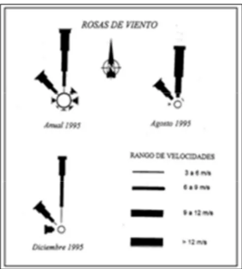 Figura  12  -  Percorsi  del  trasporto  eolico  di  sabbia.  Modifiche  di  Alcántara-Carrió  et  al