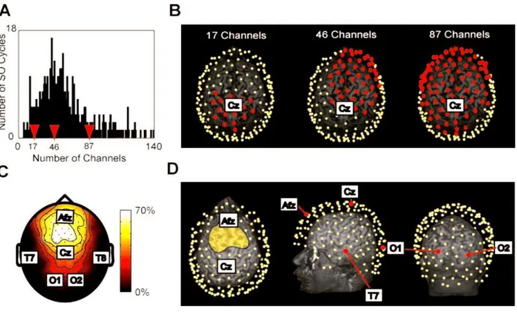 Fig. 9 Massimini et al. 2004 Ogni oscillazione lenta influenza diversi sottoinsiemi di canali