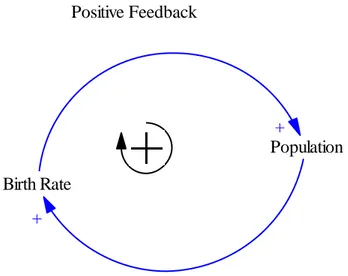 Figure 2.1: Positive Feedback Loop 