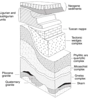 Figura 3.2: Successione tettonico-stratigrafica del LTGF come rappresentata in Bertini et al