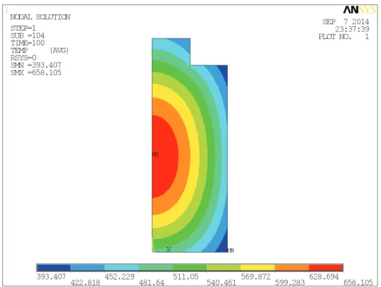 Figura 2.5: Mappa delle temperature nodali calcolate al termine della simulazione di transitorio termico.