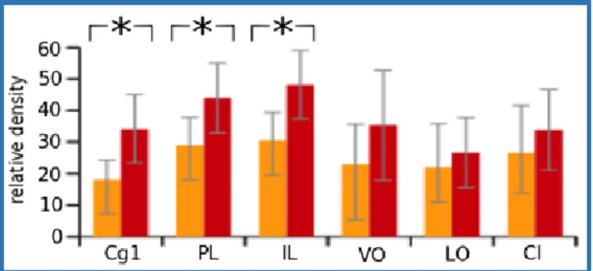 Fig.  8:  Analysis  of  the  relative  density  in  different  regions  of  the  prefrontal  cortex