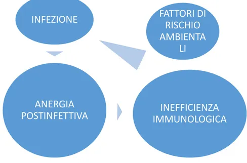 Figura 11: circolo vizioso infezione-immunodepressione-infezione, probabilmente alla base della  patogenesi delle RRI