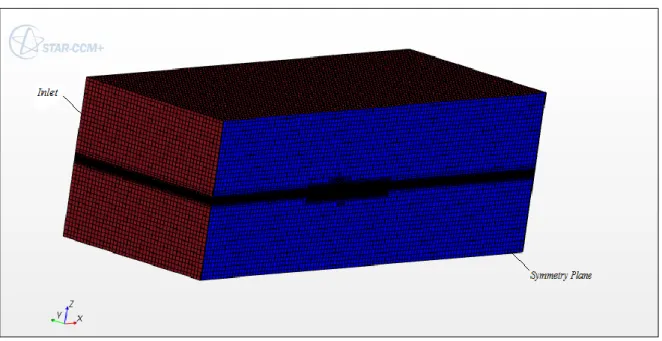 Figura 3.7-a. Mesh di volume e condizioni imposte alle superfici del dominio – Symmetry Plane e Inlet 