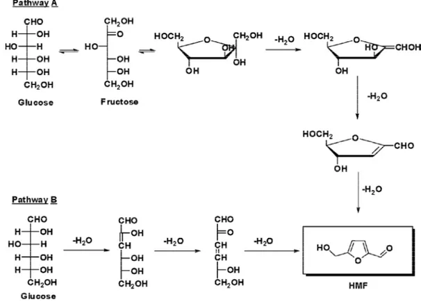 Figura 3.3: meccanismo di formazione dell’HMF da fruttosio e da glucosio [3 , 4]. 